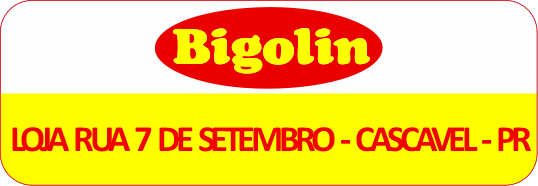 LOGOS PARA SITE (2) bigolin